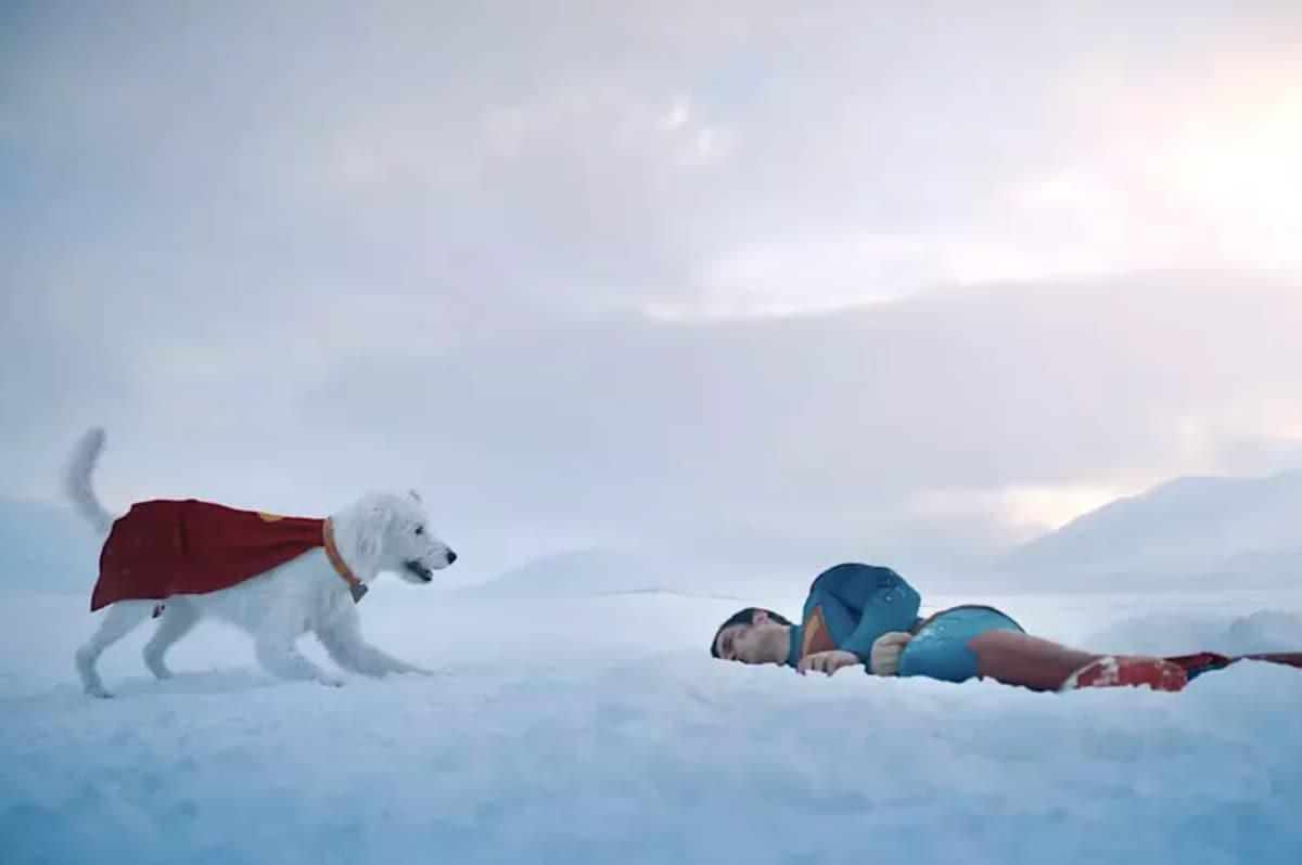 Krypto in James Gunn's 'Superman.'