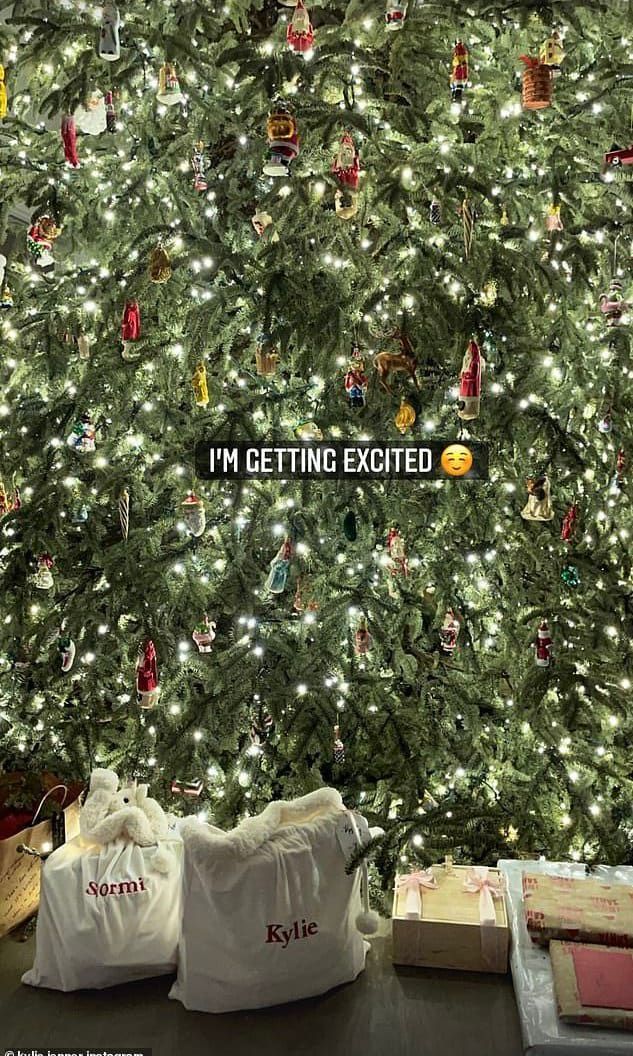 Kylie Jenner's 2020 Christmas tree