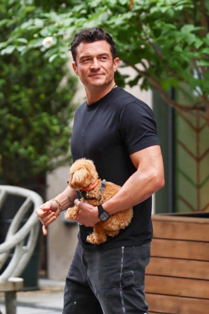 Orlando Bloom turned heads in Manhattan as he arrived for his appearance on The Tonight Show Starring Jimmy Fallon, accompanied by none other than his beloved teacup poodle, Biggie Smalls.

The Pirates of the Caribbean star was later seen returning to his hotel, cradling the pampered pup in one arm while greeting fans and photographers. Blooms charming sidekick stole the spotlight, drawing smiles from passersby and adding an adorable twist to his late-night show outing.****

Orlando Bloom llamó la atención en Manhattan al llegar para su aparición en The Tonight Show Starring Jimmy Fallon, acompañado nada menos que de su querido caniche miniatura, Biggie Smalls.

Más tarde, la estrella de Piratas del Caribe fue vista regresando a su hotel, cargando al consentido perrito en un brazo mientras saludaba a fans y fotógrafos. El encantador compañero de Bloom se robó el protagonismo, arrancando sonrisas a los transeúntes y sumando un toque adorable a su salida televisiva.