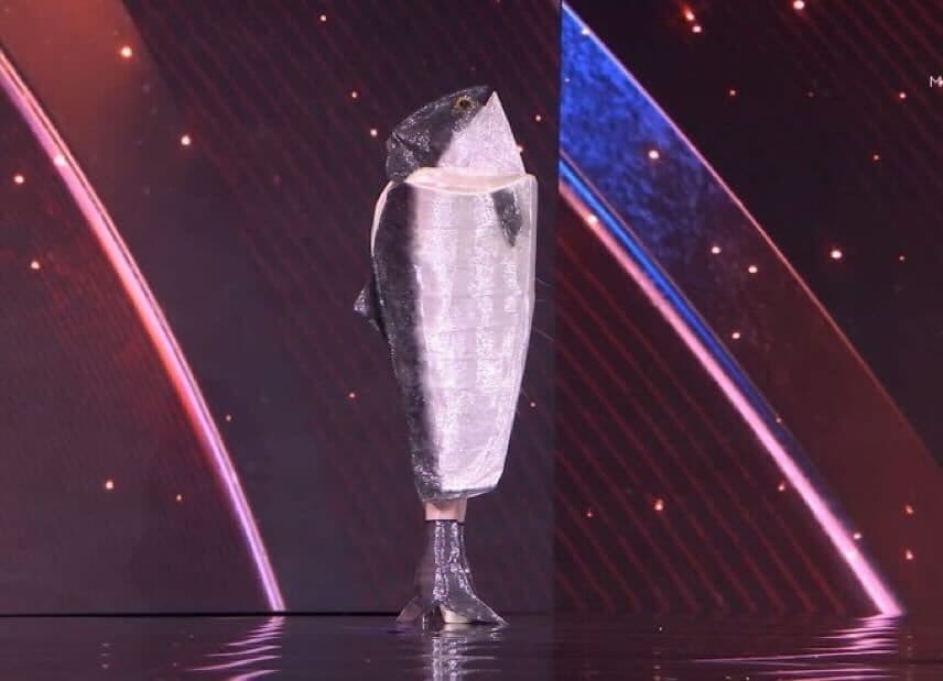 Miss Norway stunned the audience and instantly broke the internet when she stepped onto the runway dressed as a giant Norwegian salmon