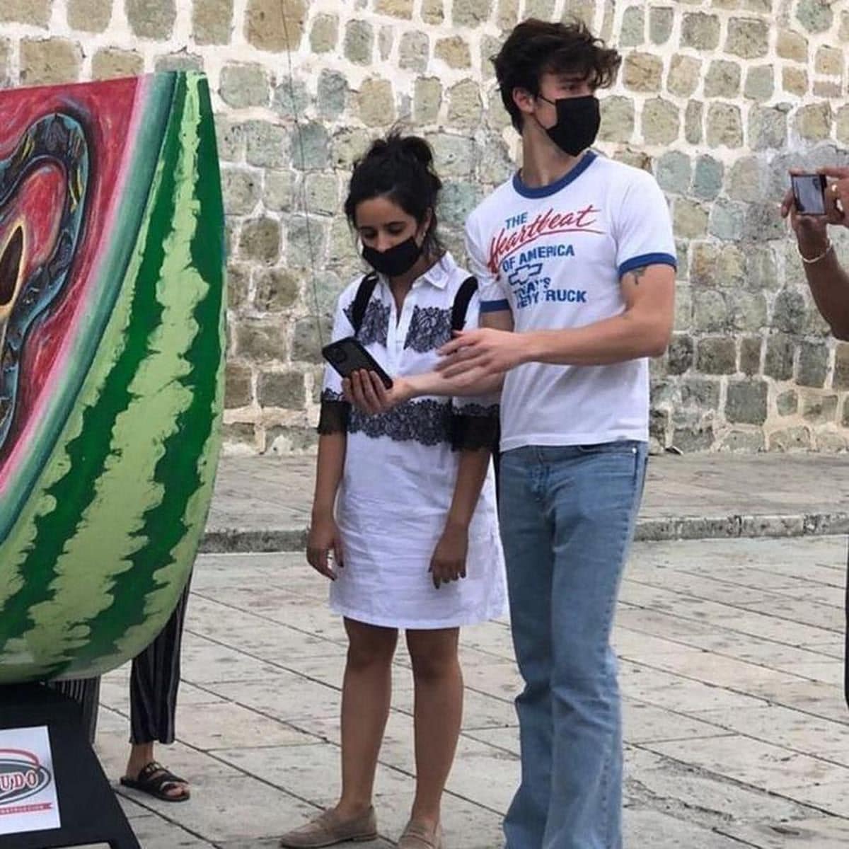 Shawn Mendes y Camila Cabello
