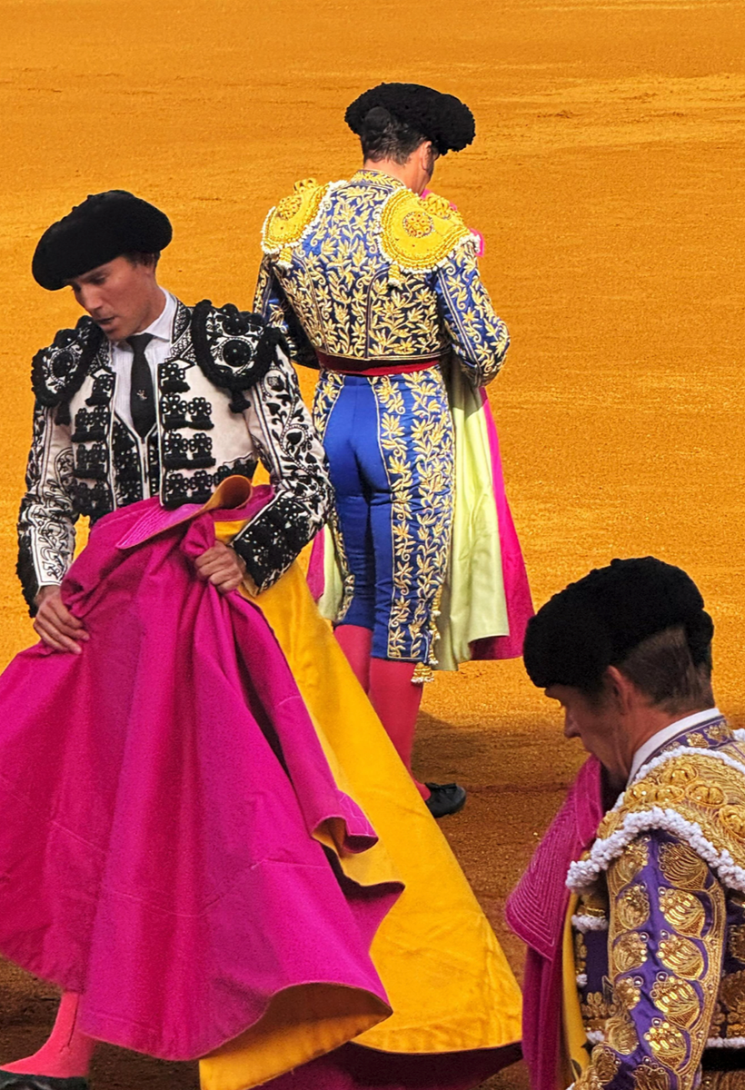 Rocco Ritchie's latest Instagram carousel sparked debate after followers criticized the inclusion of bullfighting images.