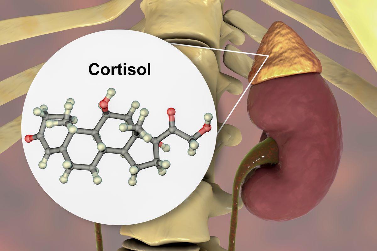 What is the ‘cortisol spike’ and why everyone’s talking about it