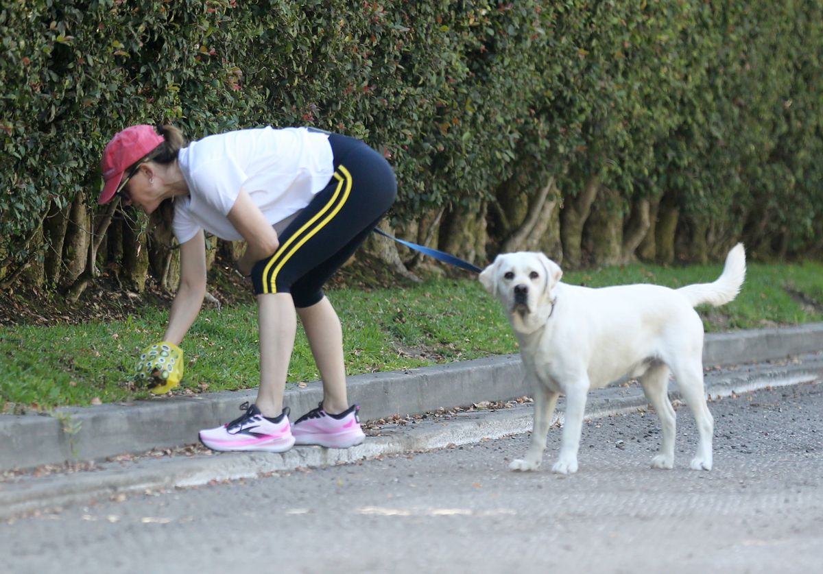 Photo © 2026 x17/The Grosby Group

EXCLUSIVE 

Sunday, May 31, 2026 - Jennifer Garner looked super cute in cozy athleisure wear while taking her pup for an afternoon stroll around the neighborhood. Ever the courteous neighbor, Garner was spotted cleaning up after her dog, stopping to pick up its waste before continuing on her walk. ****

Jennifer Garner lució muy cómoda y adorable con un conjunto deportivo tipo athleisure mientras paseaba a su perro por la tarde en su vecindario. Siempre considerada con sus vecinos, la actriz fue vista recogiendo los desechos de su mascota antes de continuar su caminata.