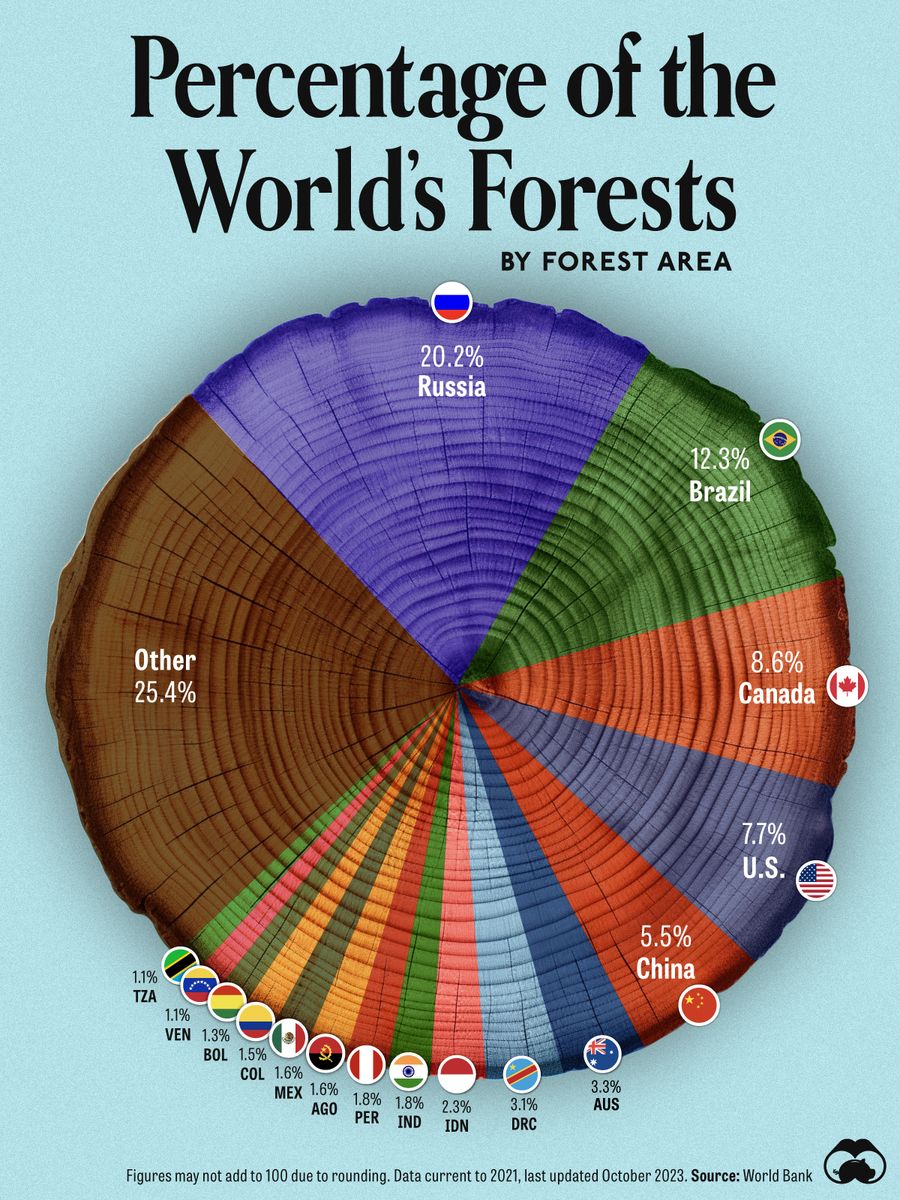 Countries with the biggest share of the world's forests by area. And while country size plays a factor, so too does the environment. Data source:  World Bank. (Graphic by Visual Capitalist via Getty Images)
