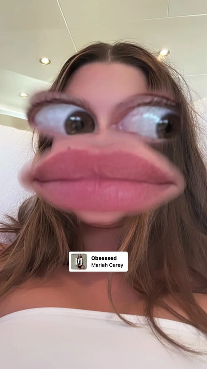 Hailey Bieber IG Story
