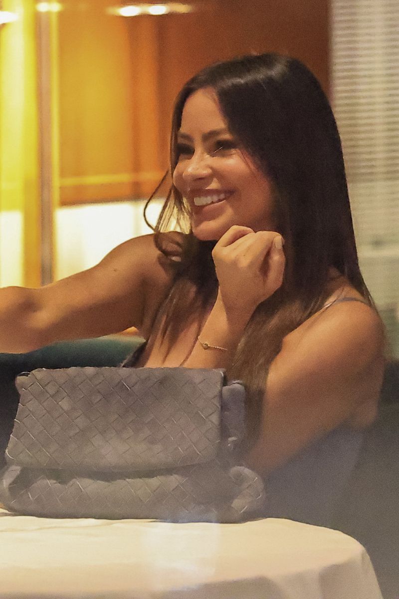 Sofia Vergara was spotted enjoying late-night dinner date with newly single Imagine Dragons frontman Dan Reynolds at Cipriani in Beverly Hills.