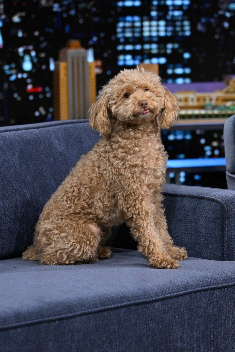 Winnie, Millie explained, is approaching the situation as if she can will her new sibling out of existence