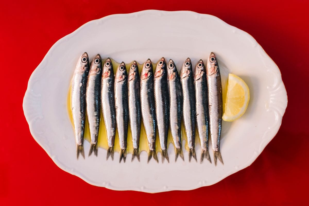 Dish with fresh sardines raw in olive oil. Source of omega 3 with lemon and vitamin C