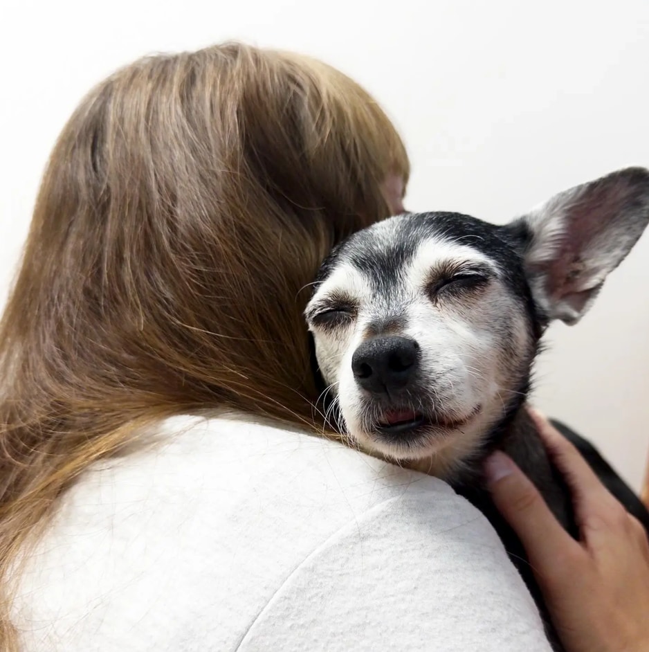 At the age of 15, Rufus passed away suddenly in April.