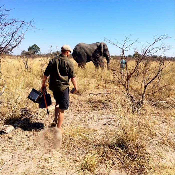 Prince Harry World Elephant Day