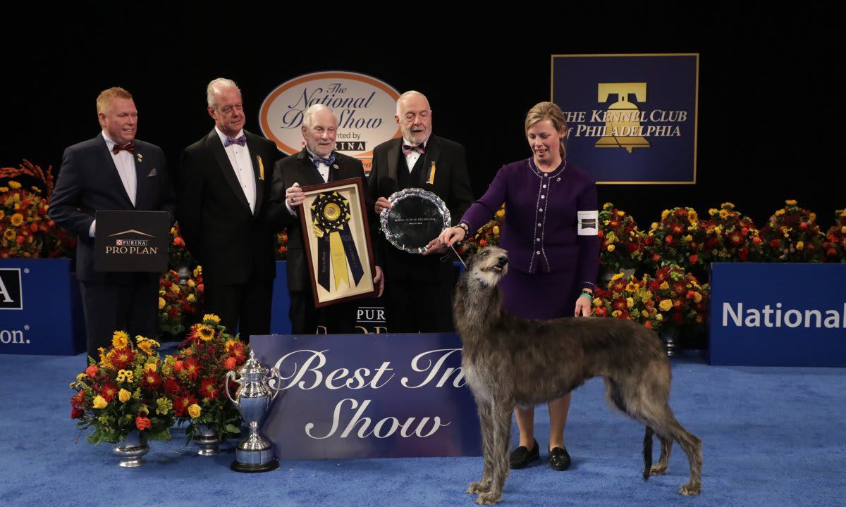 The National Dog Show Presented by Purina - Season 2021
