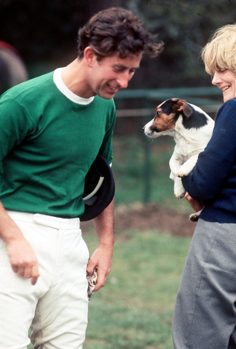 Charles ha sido durante mucho tiempo fanático de Jack Russells.