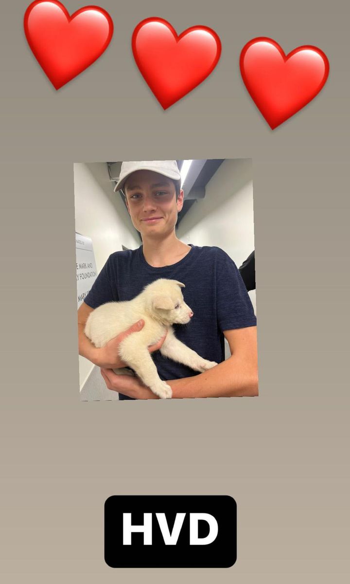 Tom Brady Valentine's day posts