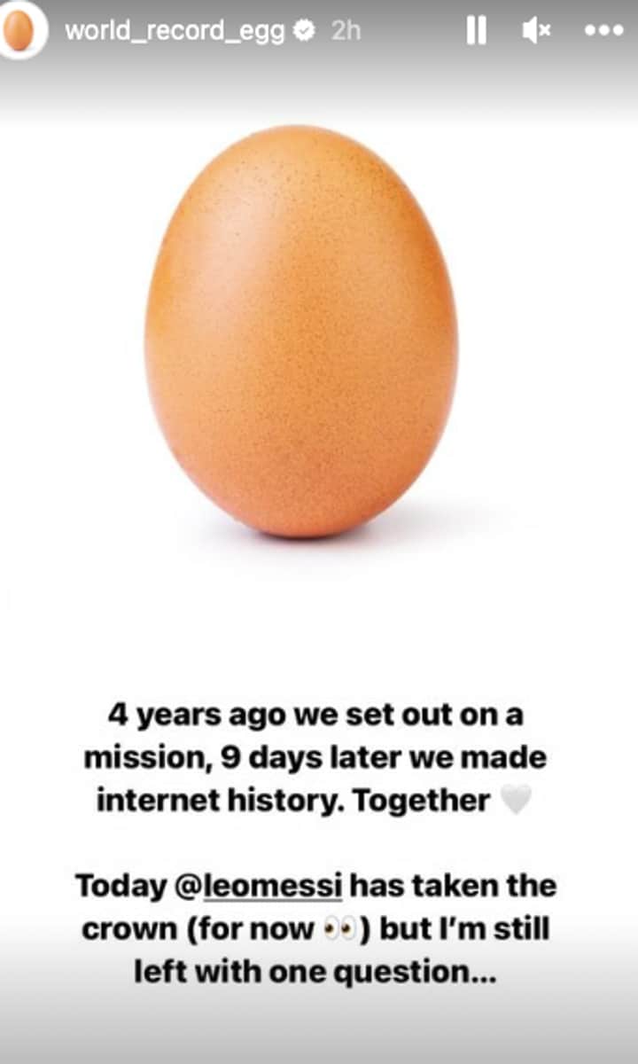 World Record Egg