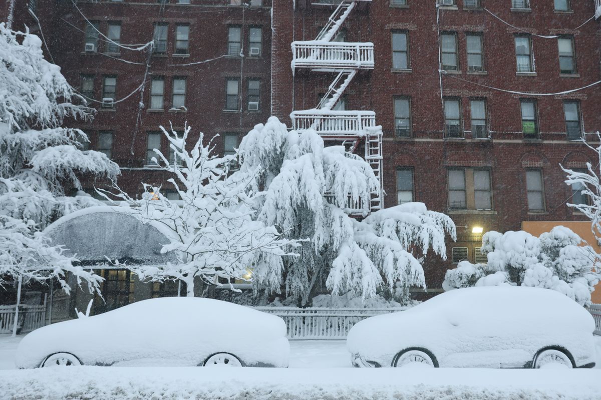 Cars and trees are covered in snow during a blizzard on February 23, 2026, in the Flatbush neighborhood of the Brooklyn borough in New York City.