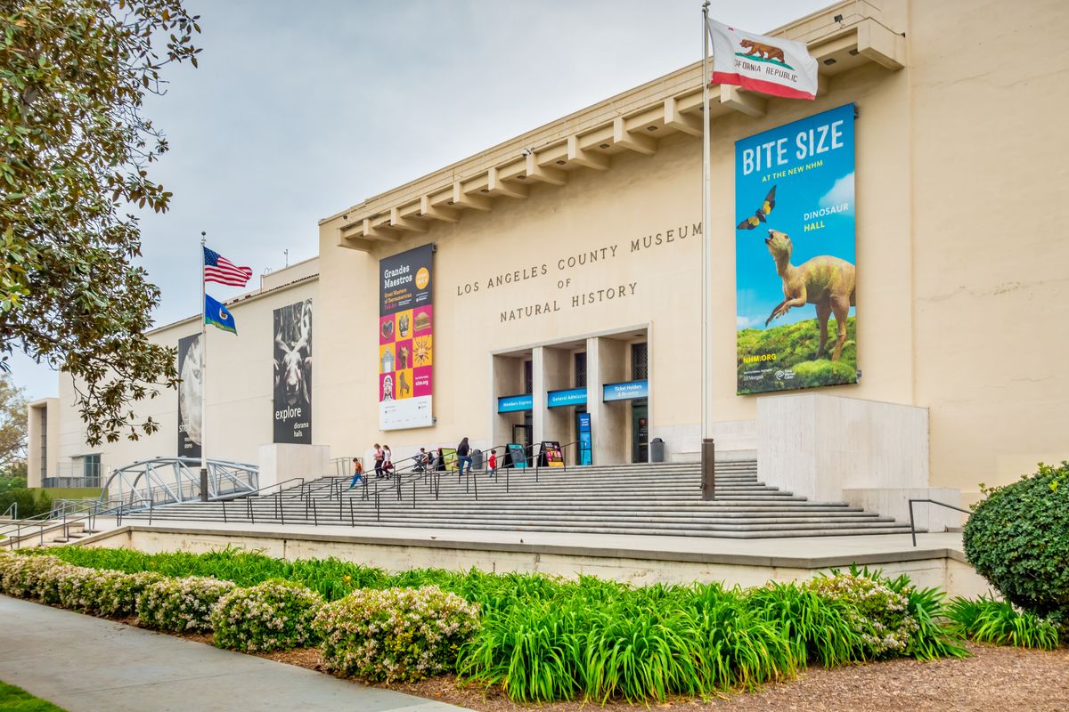 Natural History Museum of Los Angeles County in Los Angeles