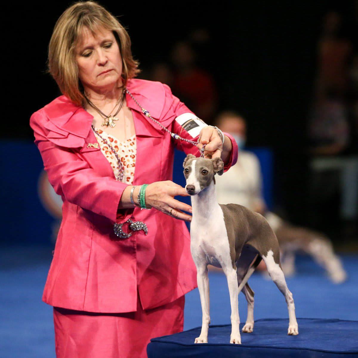 The National Dog Show Presented by Purina - Season 2021