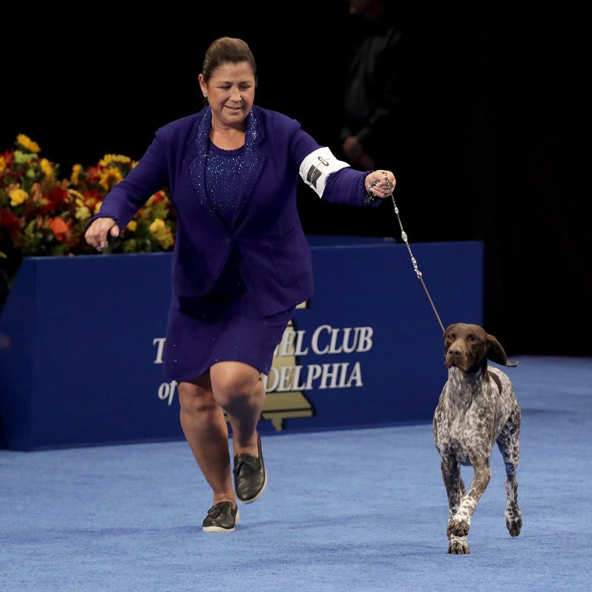 The National Dog Show Presented by Purina - Season 2021