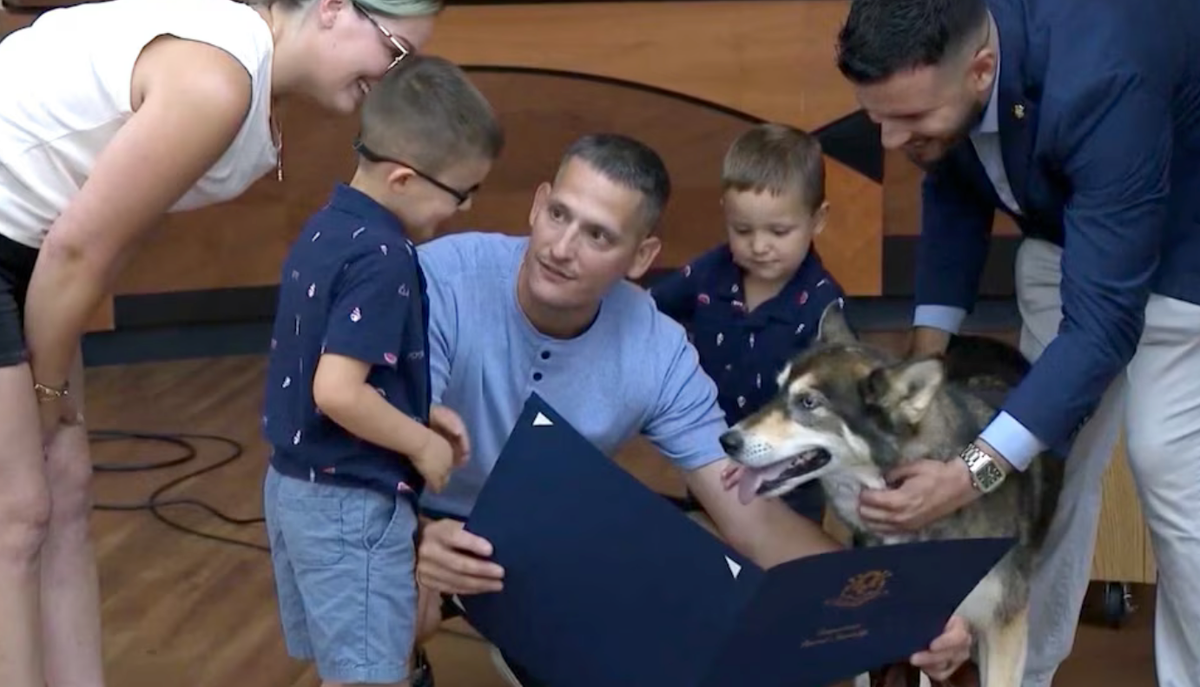 Connecticut State Sen. Stephen Harding and State Rep. Joe Canino presented Bella with a legislative citation recognizing her bravery after the viral rescue.