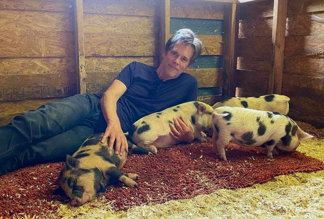 Kevin Bacon loves pigs and does not eat bacon