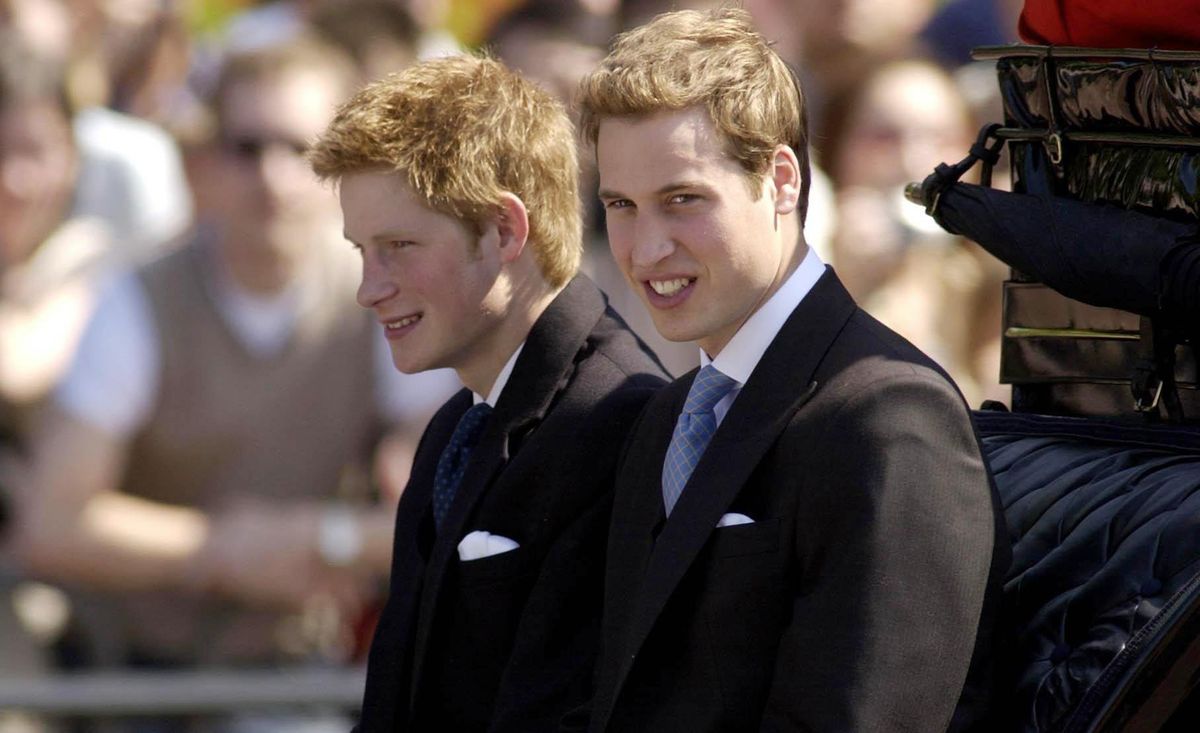 From Eton College to military service, Prince William and Prince Harry's different journeys reflected their distinct places within the monarchy.