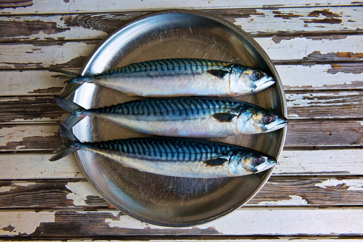 Mackarel and other fatty fish are consumed frequently in the Nordic region