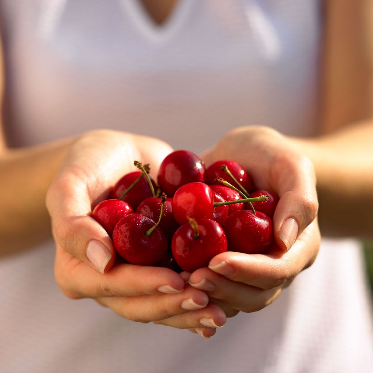 Cherries: Nature's Sour Candy With a Secret Weapon