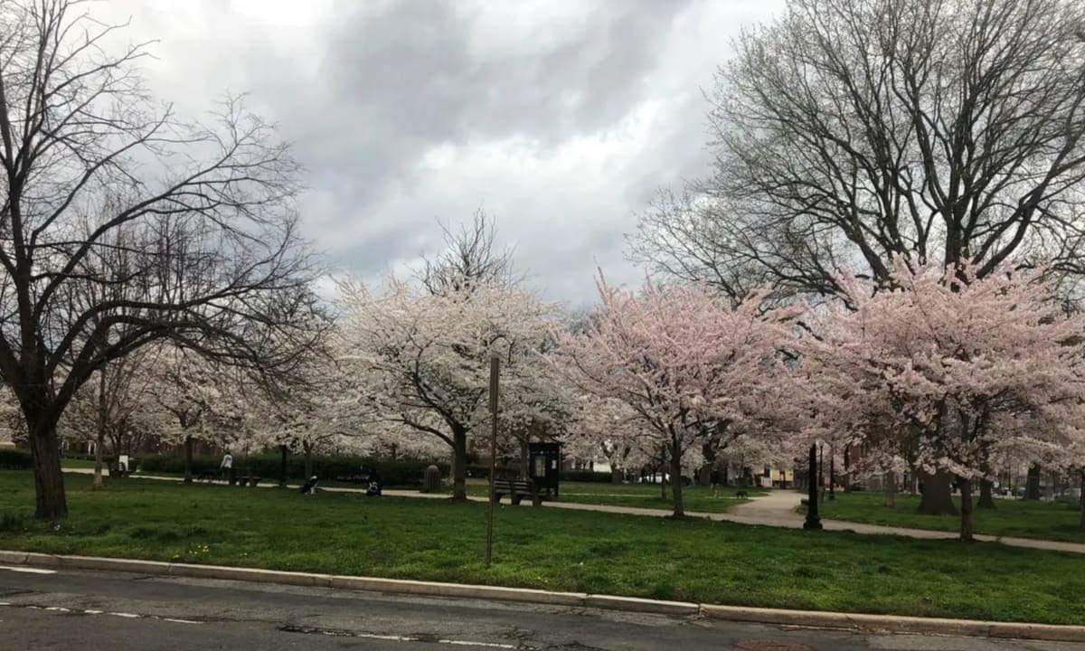 Barack Obama's former Washington, D.C. home