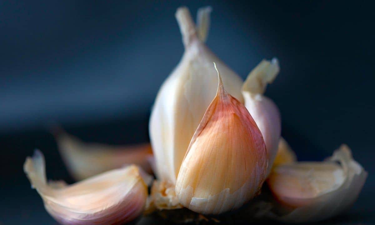 National Garlic Day: Nutritionist's top 4 health and wellness benefits of garlic