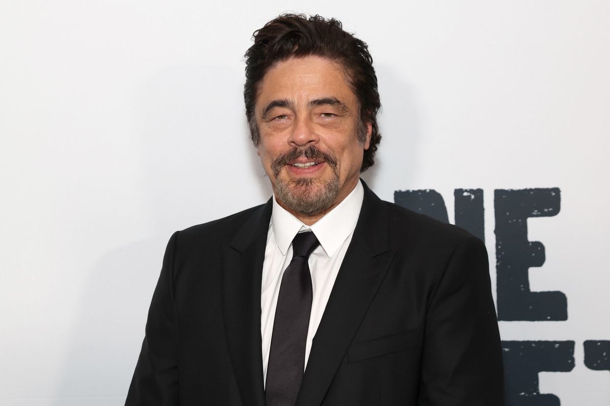 Del Toro is concluding an exciting year where he might get an Oscar nomination