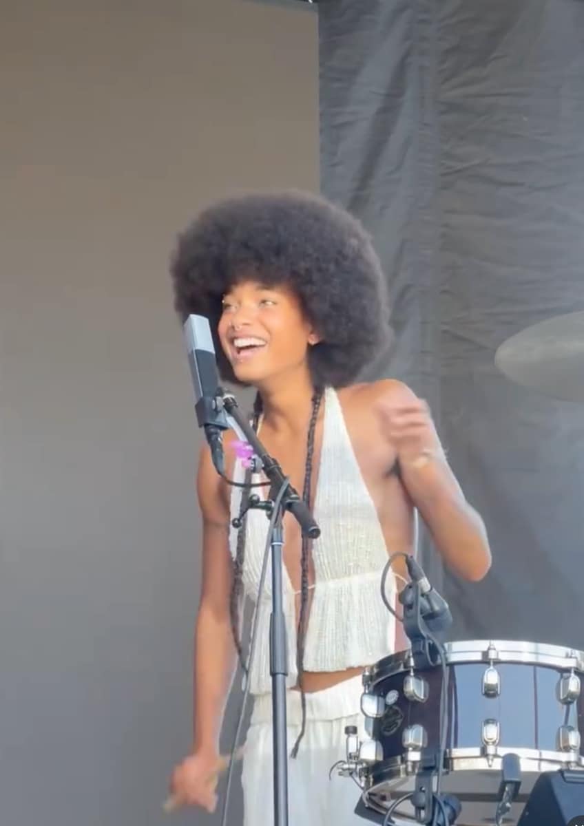 Willow Smith's first album set the stage for everything that followed in her successful career.