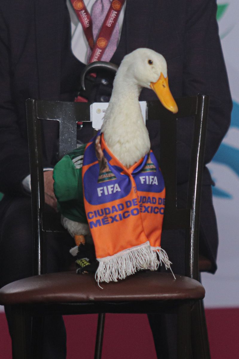 Merlin the Duck poses with his owners Carla Gómez, Carlos Gómez and Cristian Gómez during a special event at the National Palace.