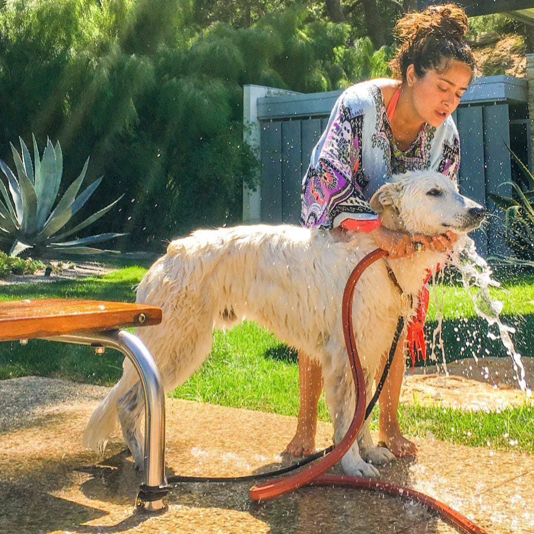 salma hayek pets