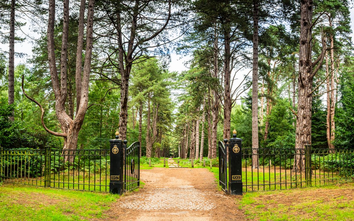 The 66-year-old, now known as Andrew Mountbatten-Windsor after losing his royal titles in 2025, was seen driving near his home at Marsh Farm on the Sandringham Estate on June 4. 
