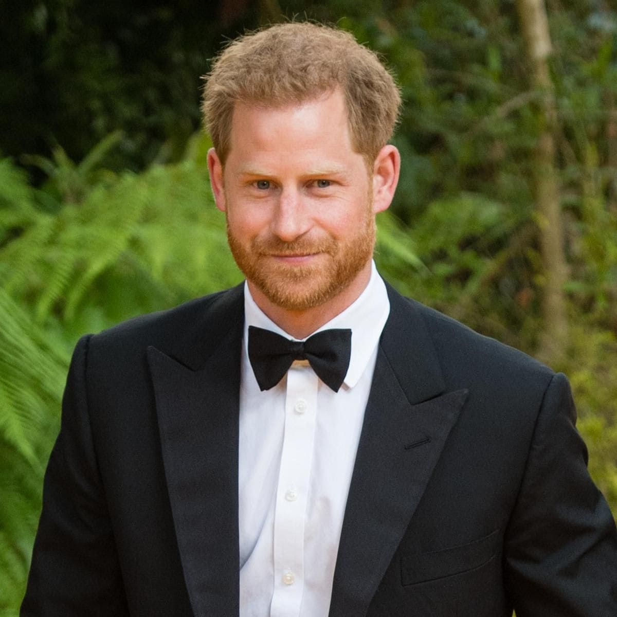 Prince Harry