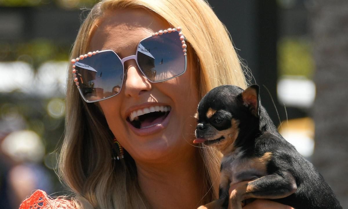 Paris Hilton Visits "Extra"
