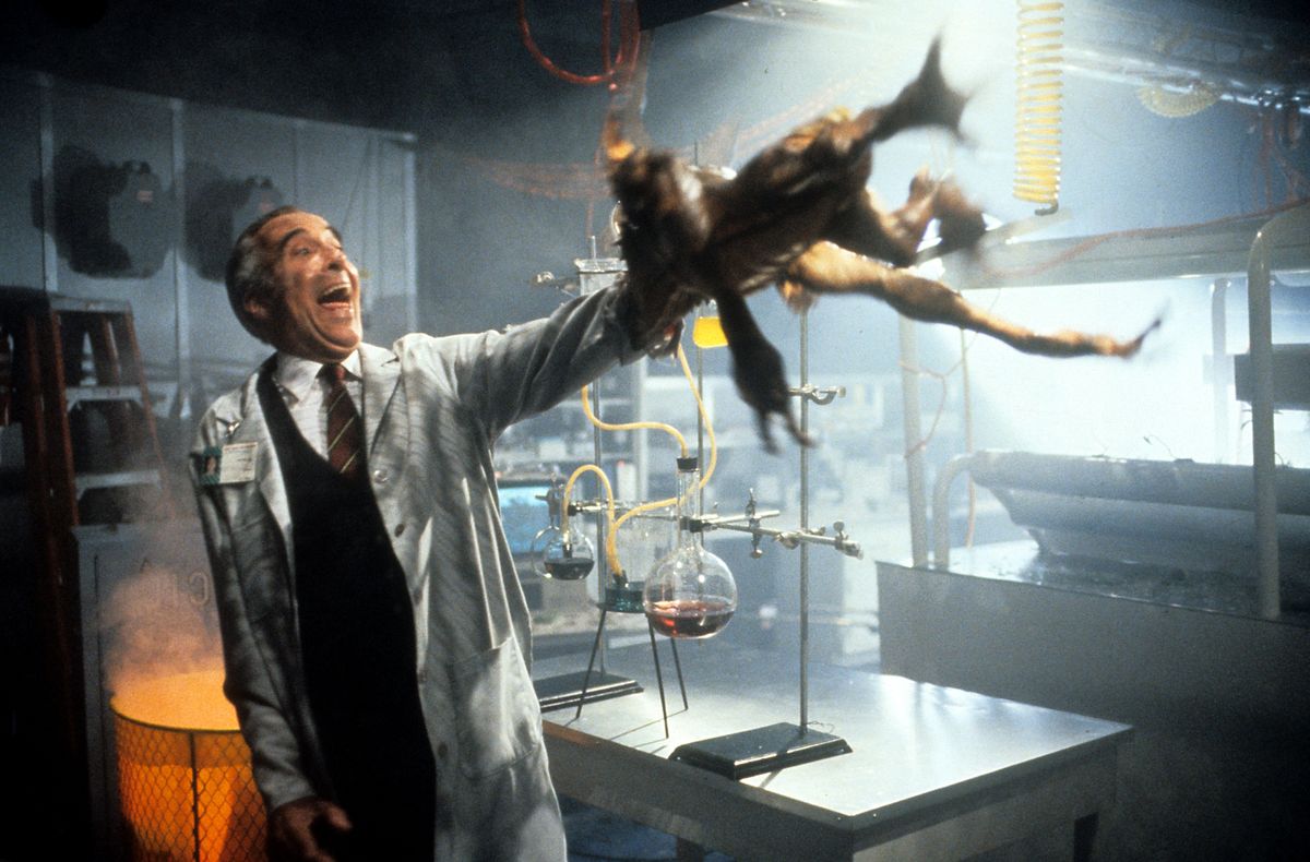 Christopher Lee attempts to thrown a gremlin off of his arm in a scene from the film 'Gremlins 2: The New Batch', 1990. (Photo by Warner Brothers/Getty Images)