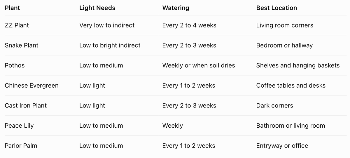 Best Plants for Small Apartments at a Glance