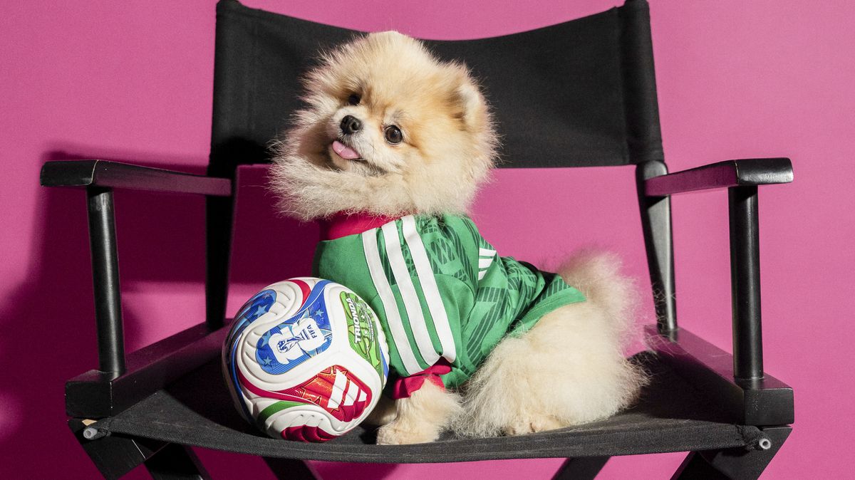 Photo © 2026 Instar Images/The Grosby Group

Adidas is giving football-loving pet owners a stylish way to include their four-legged companions in the excitement of the 2026 FIFA World Cup with the launch of its new pet jersey collection. 

The collection features miniature kits inspired by four major national teams competing in the tournament: reigning champions Argentina, along with Mexico, Colombia, and Japan. Each jersey mirrors the design of the official home shirts, complete with the national federation crest and adidas logo.

Rather than simply shrinking down the human versions, the garments have been specially engineered for pets, with a tailored design that accommodates the anatomy of four-legged fans while ensuring a comfortable fit across a range of sizes. Heat-transferred detailing provides a sleek, premium finish without compromising comfort.

The adidas 2026 FIFA World Cup Pet Collection will be available starting May 1 across North America, Latin America, Japan, China, Vietnam, the Philippines, and Indonesia, just ahead of the tournaments kickoff on June 11 in the United States, which is co-hosting alongside Mexico and Canada.****

Adidas está ofreciendo a los dueños de mascotas amantes del fútbol una elegante manera de incluir a sus compañeros de cuatro patas en la emoción de la Copa Mundial de la FIFA 2026 con el lanzamiento de su nueva colección de camisetas para mascotas.

La colección presenta kits en miniatura inspirados en cuatro de las principales selecciones que competirán en el torneo: los actuales campeones, Argentina, junto con México, Colombia y Japón. Cada camiseta reproduce el diseño de los uniformes oficiales de local, completo con el escudo de la federación nacional y el logotipo de adidas.

En lugar de simplemente reducir las versiones para humanos, las prendas han sido especialmente diseñadas para mascotas, con un corte adaptado a la anatomía de los aficionados de cuatro patas, garantizando un ajuste cómodo en una amplia variedad de tallas. Los detalles aplicados mediante transferencia térmica aportan un acabado elegante y premium sin comprometer la comodidad.

La colección adidas 2026 FIFA World Cup Pet estará disponible a partir del 1 de mayo en América del Norte, América Latina, Japón, China, Vietnam, Filipinas e Indonesia, justo antes del inicio del torneo el 11 de junio en Estados Unidos, país anfitrión junto con México y Canadá.