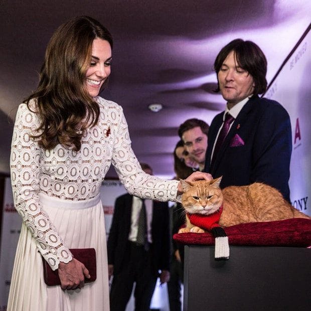 The Duchess met Bob the street cat at a movie premiere.
Photo: Richard Pohle/The Times PA Wire/PA Images