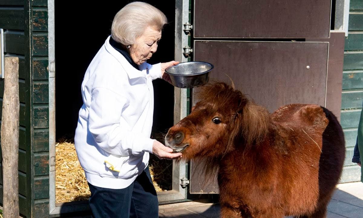 Princess Beatrix Of The Netherlands Volunteers During The NLDoet In Bilthoven