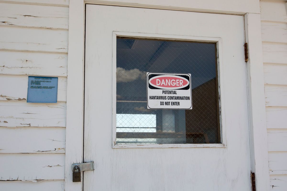 Hantavirus does not spread easily between people in most situations. Infection is typically linked to direct exposure to environments contaminated by rodents.