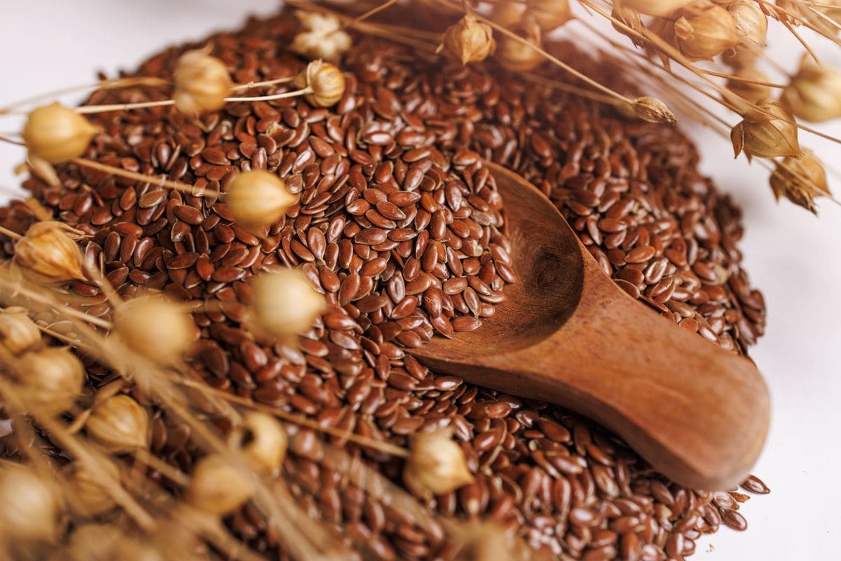 The image showcases a close-up of flax seeds and a wooden spoon against a clean white background. Additionally, there are raw dried plants of flax seeds that can also be seen in the picture. 
