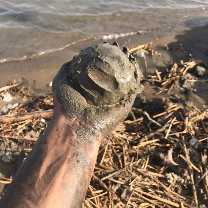 Dead Sea Mud