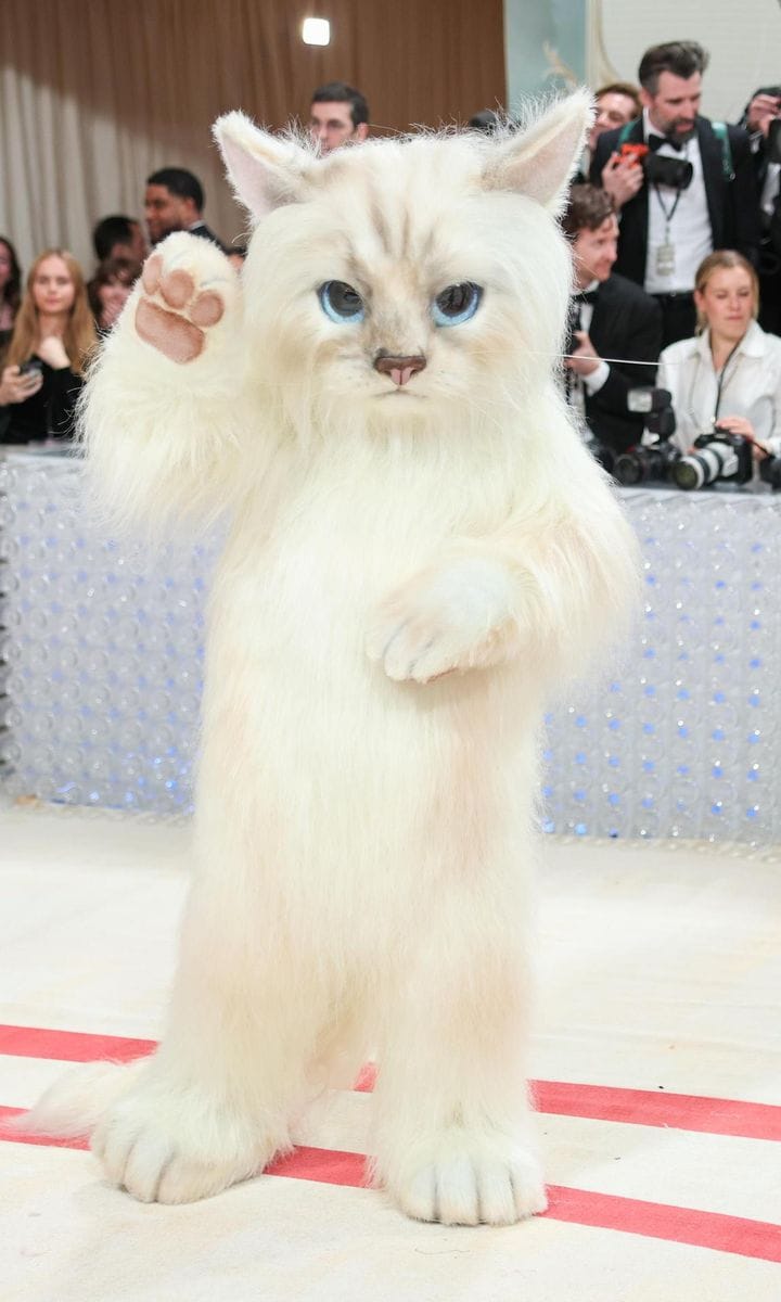 The 2023 Met Gala: Karl Lagerfeld: A Line of Beauty - Arrivals