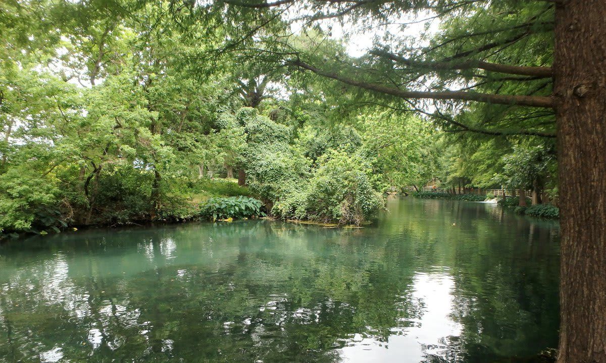 The Comal River in New Braunfels, Texas