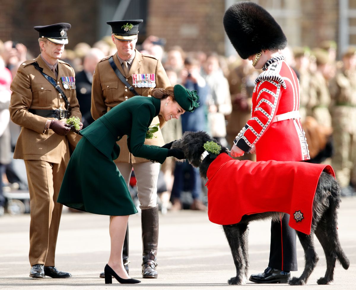 HOUNSLOW, UNITED KINGDOM - MARCH 17: (EMBARGOED FOR PUBLICATION IN UK NEWSPAPERS UNTIL 24 HOURS AFTER CREATE DATE AND TIME) Catherine, Duchess of Cambridge presents Irish Wolfhound 'Domhnall', regimental mascot of the Irish Guards, with a sprig of shamrock during the St Patrick's Day Parade at Cavalry Barracks on March 17, 2019 in Hounslow, England. (Photo by Max Mumby/Indigo/Getty Images)