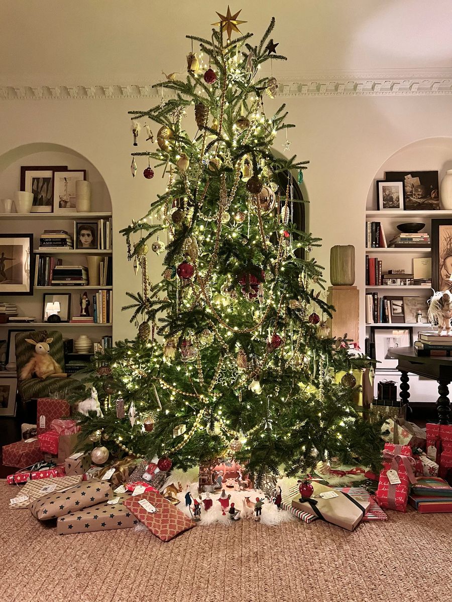 ‘Ozempic’ Christmas rrees have become the 'it' Holiday trend of 2025, according to designers