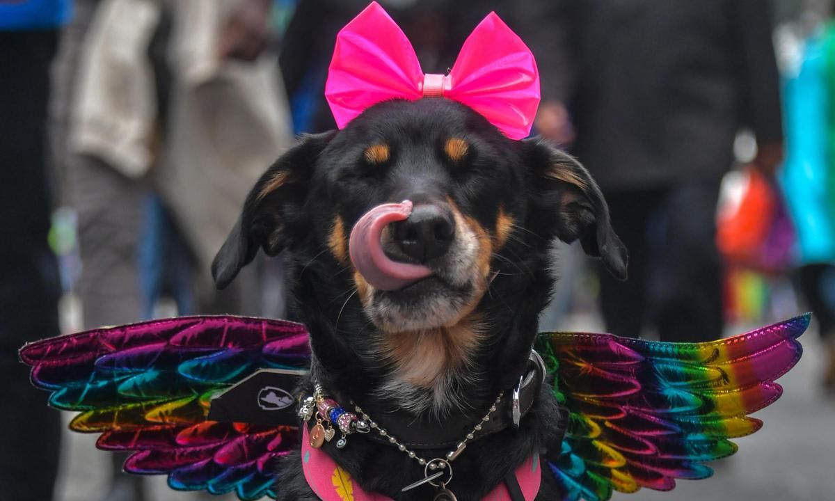 Gay Pride Parade in Sao Paulo